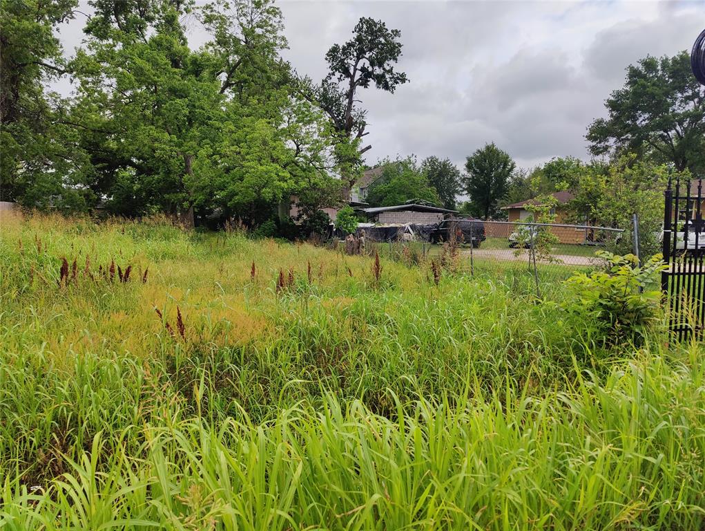 Lakeview Circle, Coldspring, Texas image 2