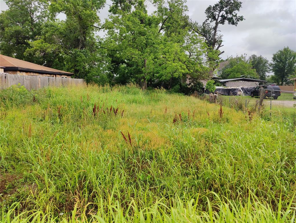 Lakeview Circle, Coldspring, Texas image 4