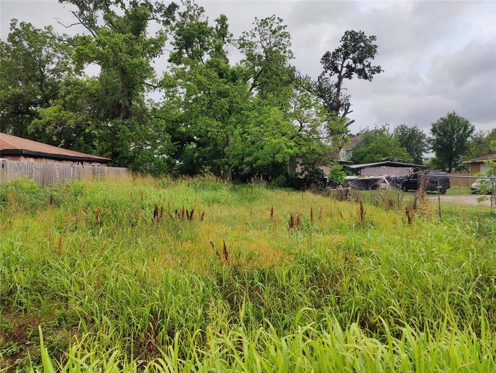 Lakeview Circle, Coldspring, Texas image 1