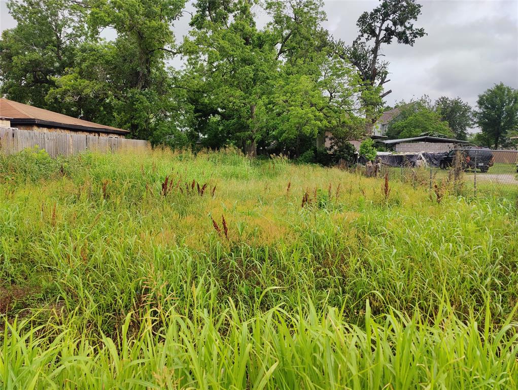 Lakeview Circle, Coldspring, Texas image 5