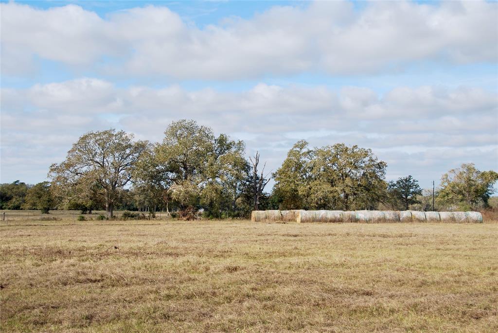 TBD County Road 135  Tract 2, Hallettsville, Texas image 10