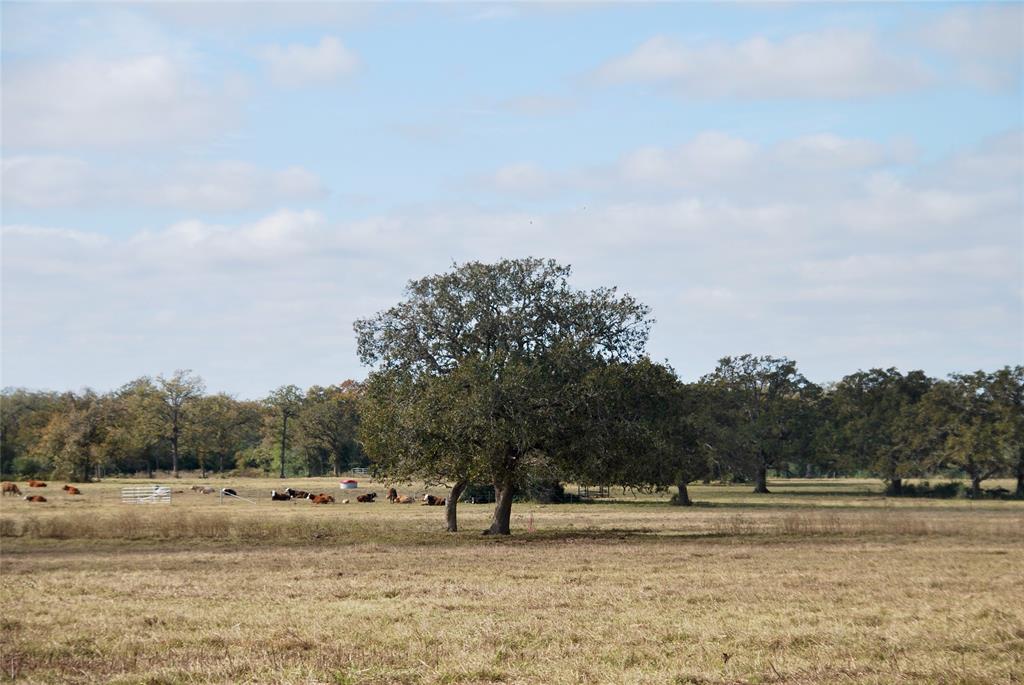 TBD County Road 135  Tract 2, Hallettsville, Texas image 11