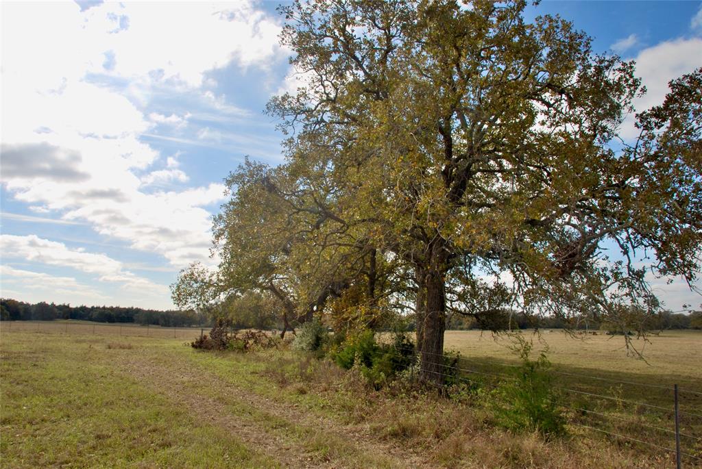 TBD County Road 135  Tract 2, Hallettsville, Texas image 6