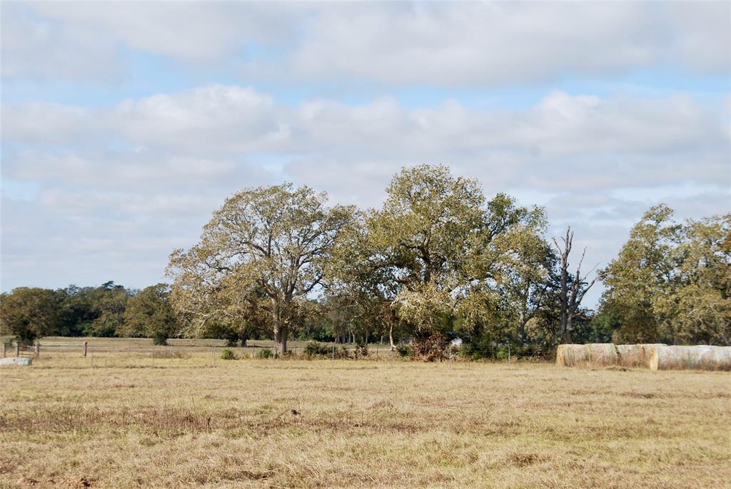 TBD County Road 135  Tract 2, Hallettsville, Texas image 12