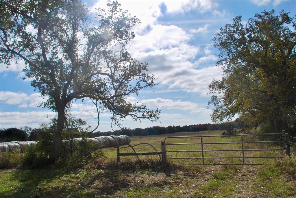 TBD County Road 135  Tract 2, Hallettsville, Texas image 1