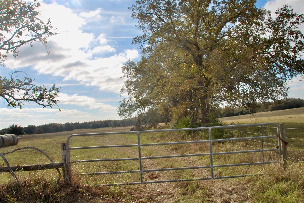 TBD County Road 135  Tract 2, Hallettsville, Texas image 15