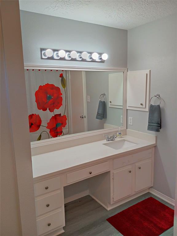 800 Country Place Drive #909, Houston, Texas image 12