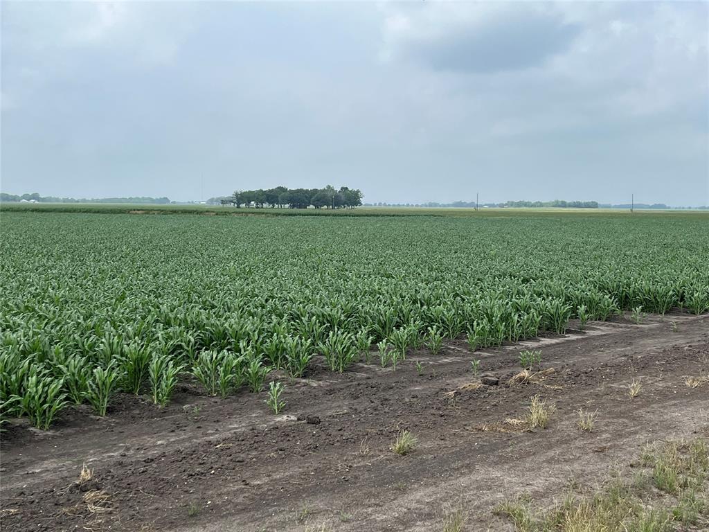 George Duty Road, Damon, Texas image 6