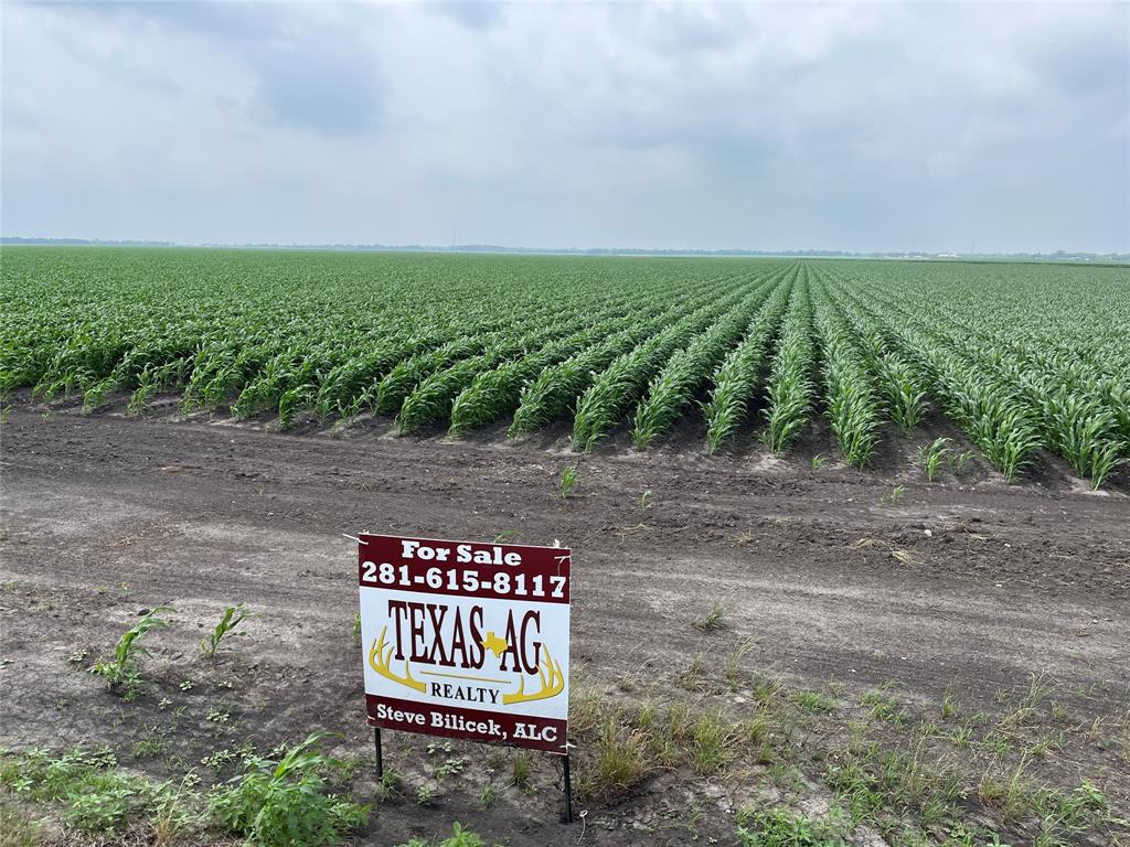 George Duty Road, Damon, Texas image 2