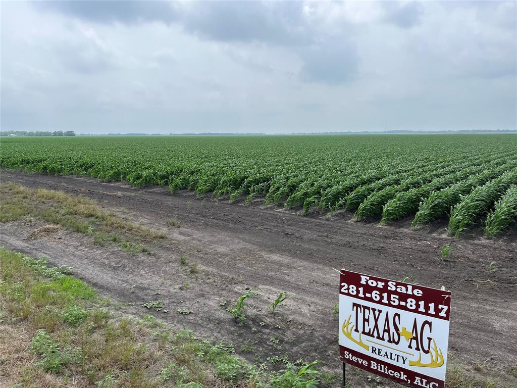 George Duty Road, Damon, Texas image 5