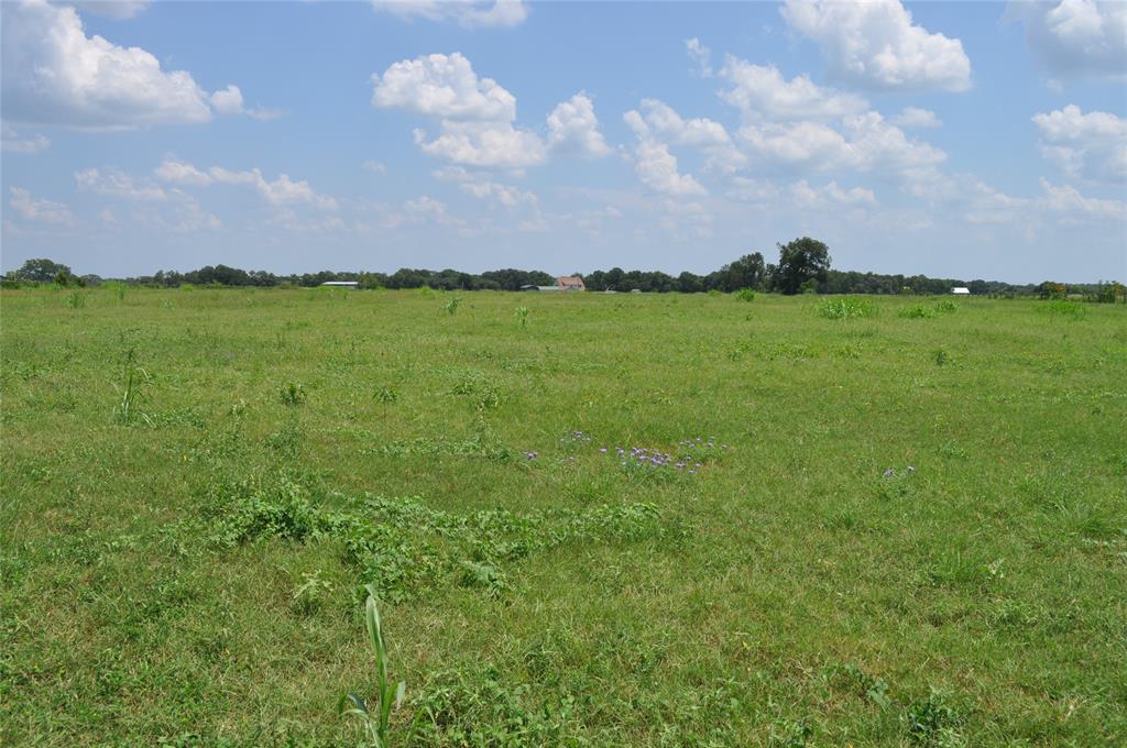 10901 Harmon School Road, Burton, Texas image 14