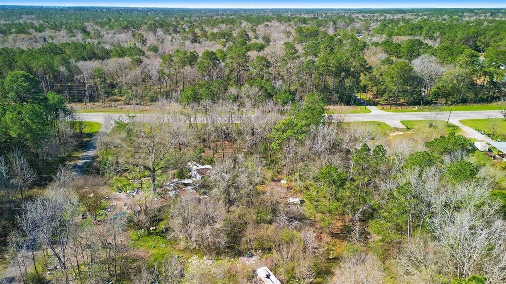 10692 Hart Road, Conroe, Texas image 1