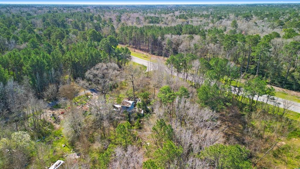 10692 Hart Road, Conroe, Texas image 4