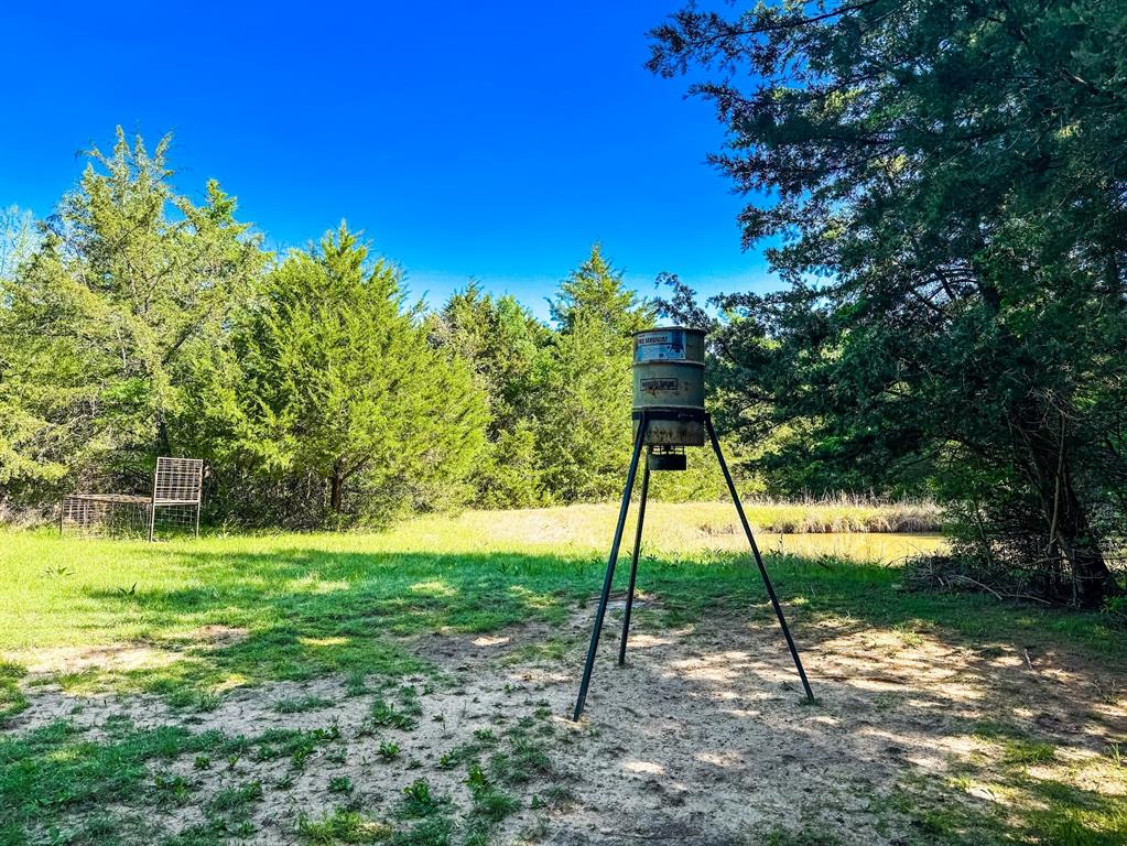 120 Fcr 296, Oakwood, Texas image 26