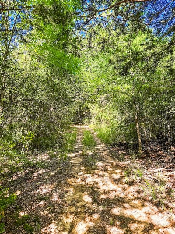 120 Fcr 296, Oakwood, Texas image 28