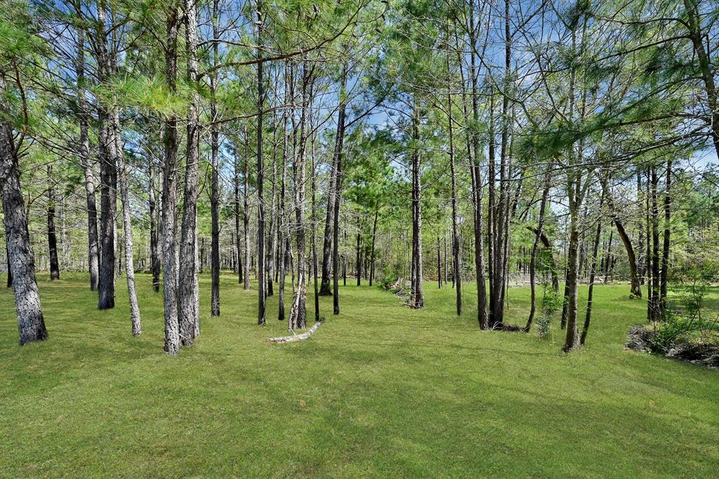 1022 Fm 1696 Road, Huntsville, Texas image 35