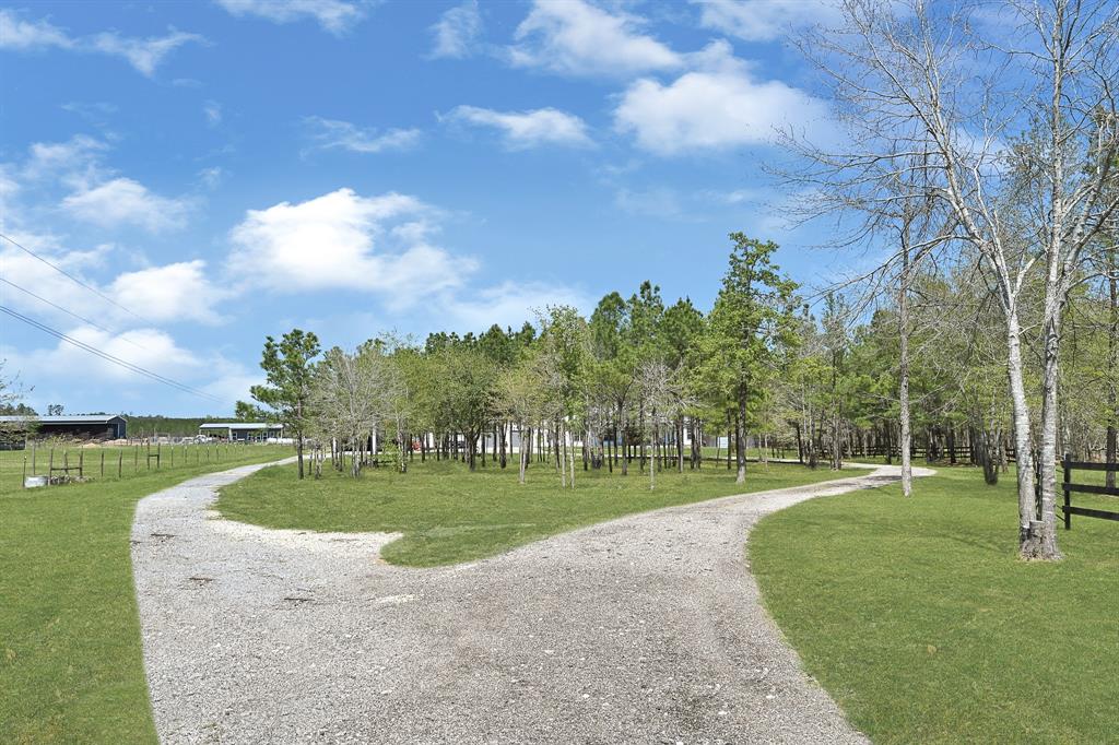 1022 Fm 1696 Road, Huntsville, Texas image 4