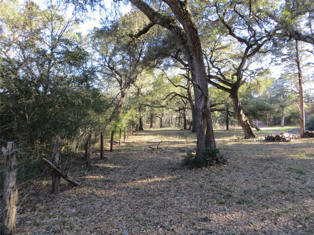 TBD County Road 122, Hallettsville, Texas image 3