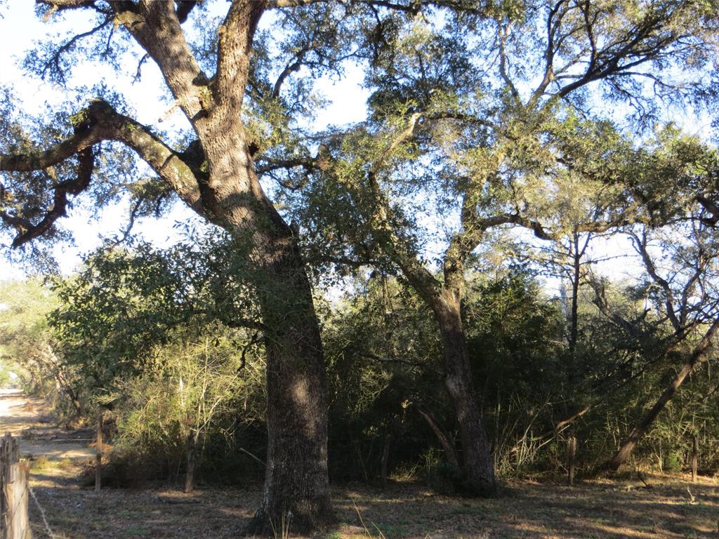 TBD County Road 122, Hallettsville, Texas image 7