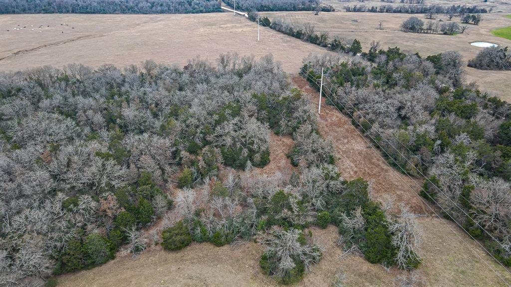 TBD Lcr 705, Kosse, Texas image 6