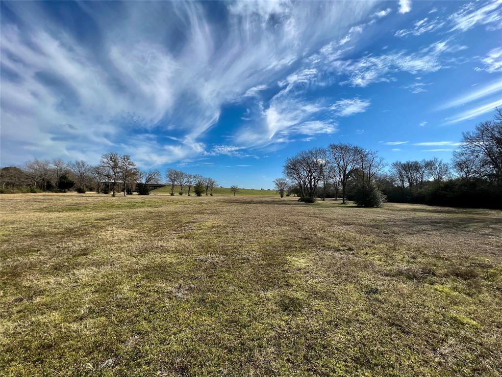 6.675 Acres Sh 6 S, Navasota, Texas image 6