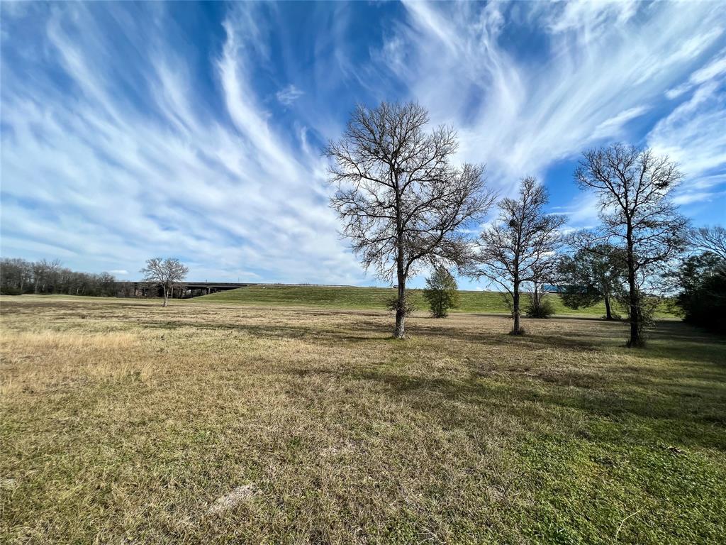 6.675 Acres Sh 6 S, Navasota, Texas image 13