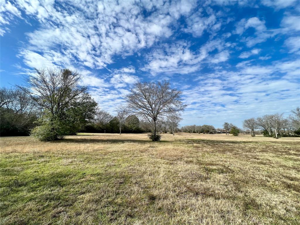 6.675 Acres Sh 6 S, Navasota, Texas image 3