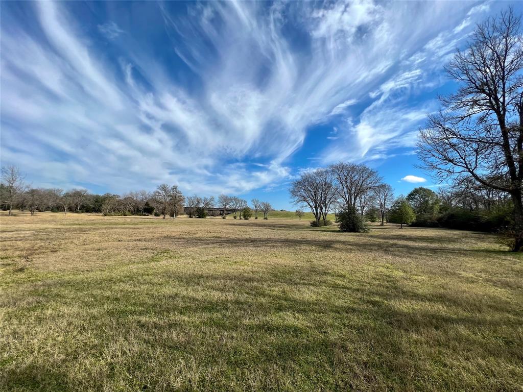 6.675 Acres Sh 6 S, Navasota, Texas image 7