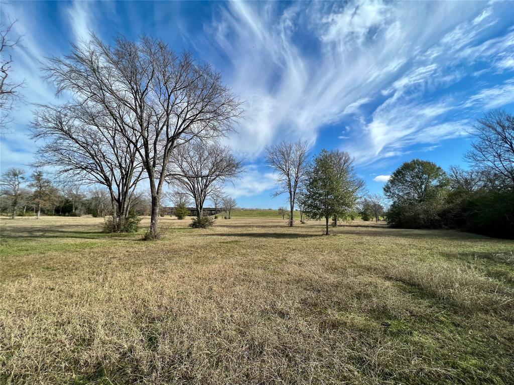 6.675 Acres Sh 6 S, Navasota, Texas image 8