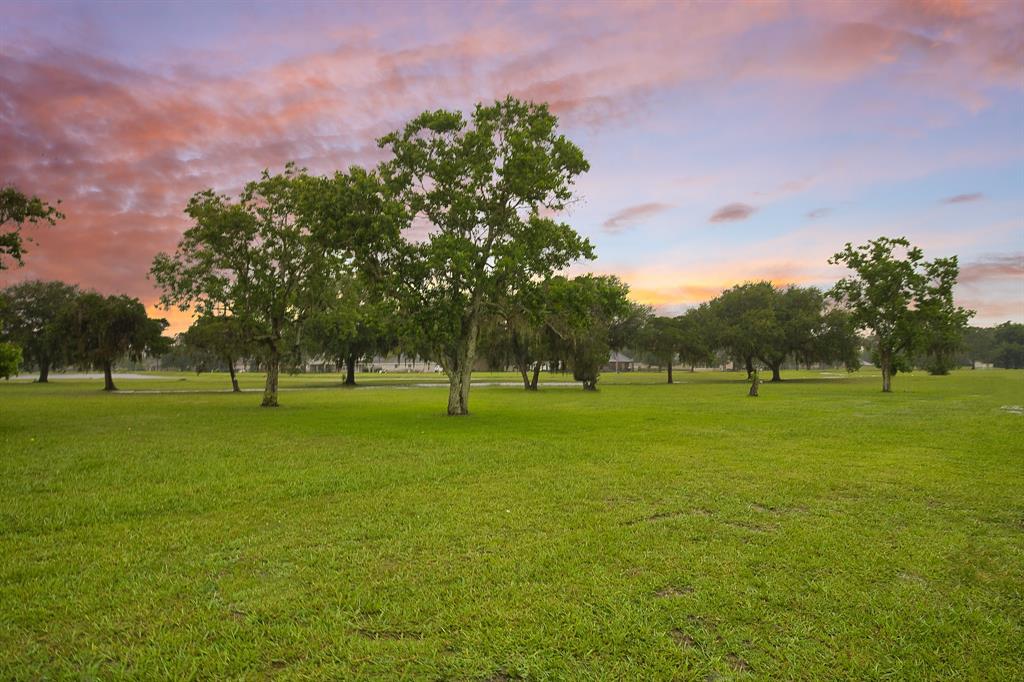 455 Green Meadows Drive, West Columbia, Texas image 24