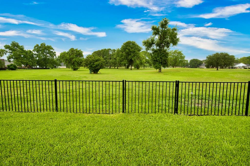 455 Green Meadows Drive, West Columbia, Texas image 30