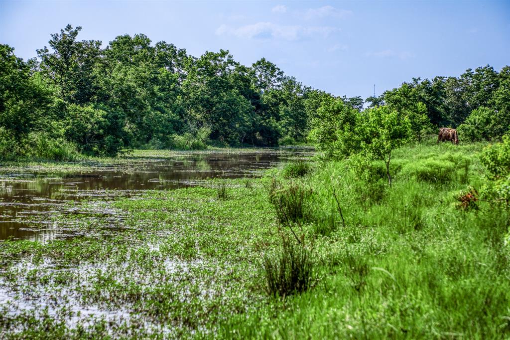 9 Schmidt Road, Waller, Texas image 10