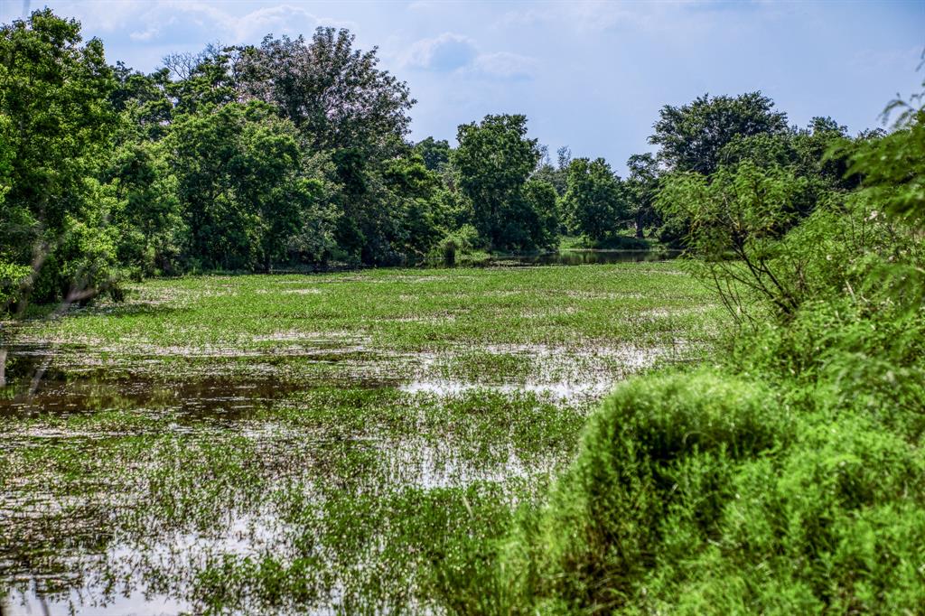 9 Schmidt Road, Waller, Texas image 7