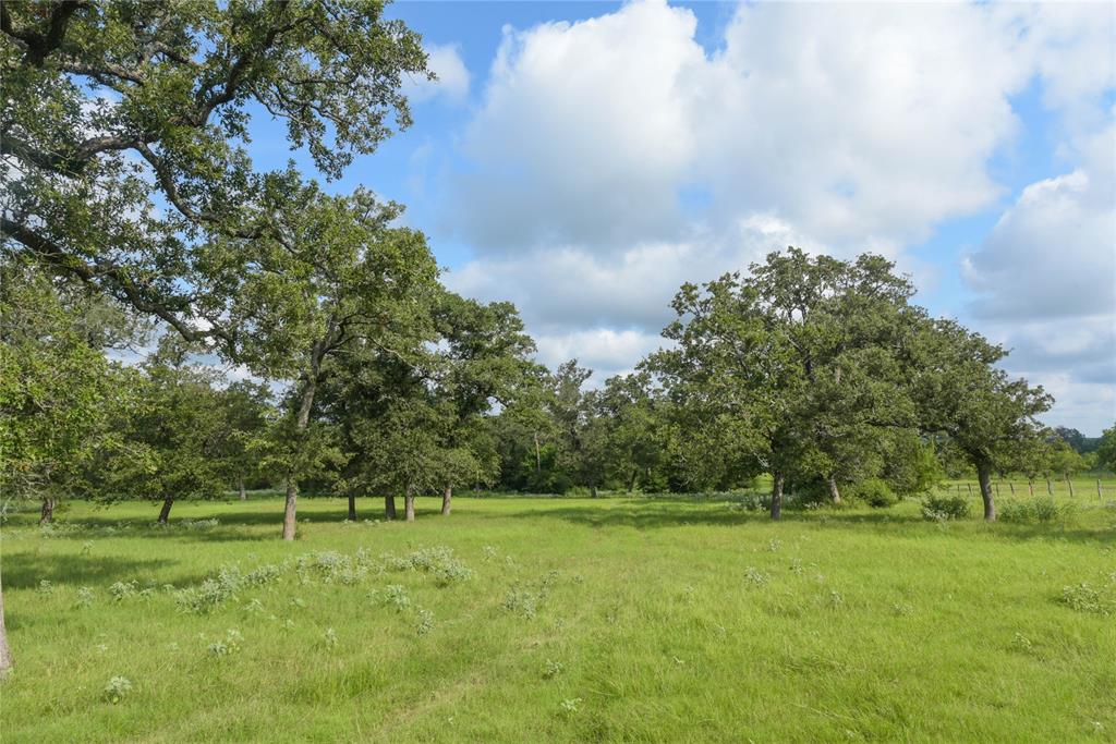 TBD County Road 315 - 6 Ac, Caldwell, Texas image 4