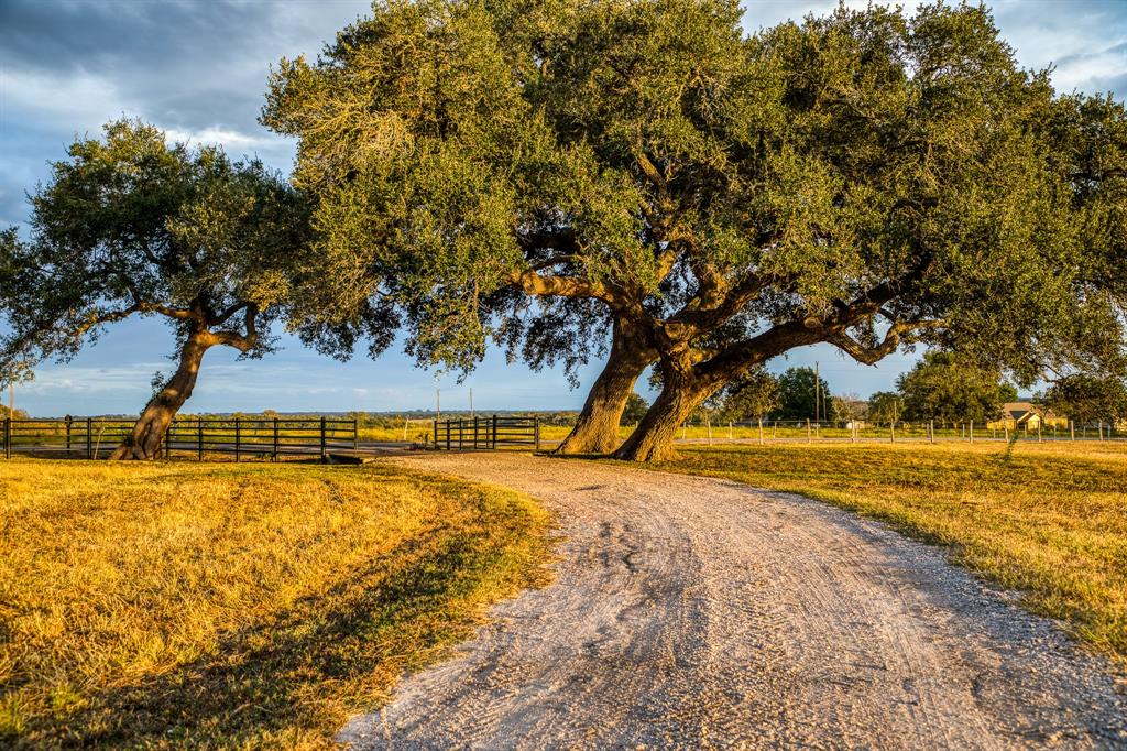 4701 Cedar Hill Road, Brenham, Texas image 7