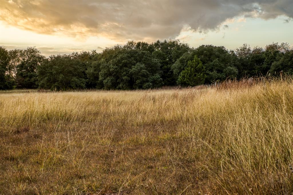 4701 Cedar Hill Road, Brenham, Texas image 39