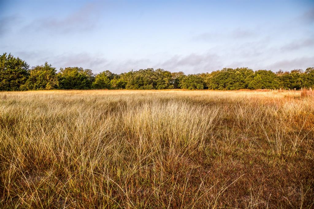 4701 Cedar Hill Road, Brenham, Texas image 44