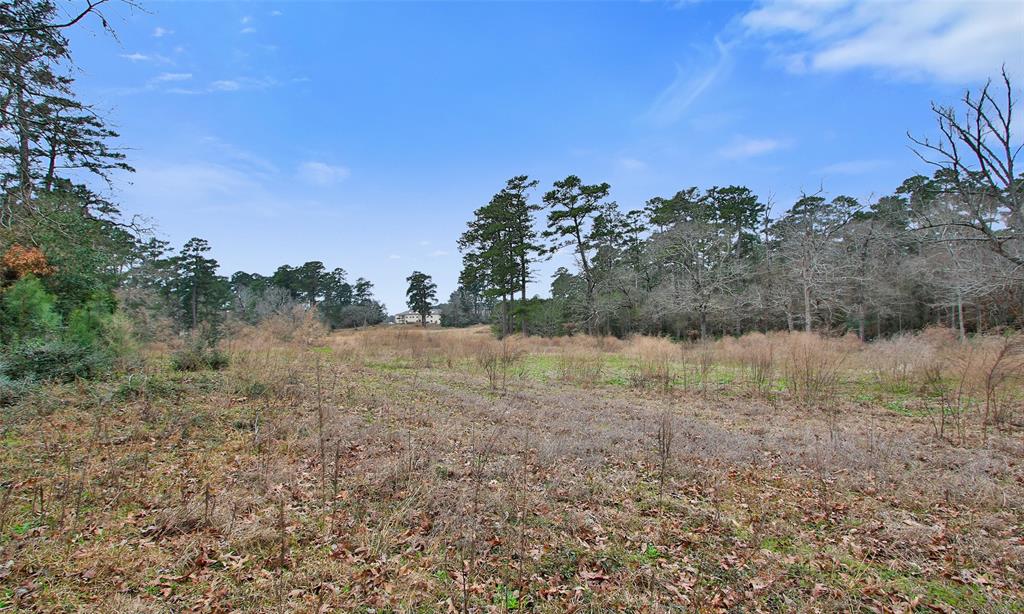 1938 Elkington Circle, Conroe, Texas image 36