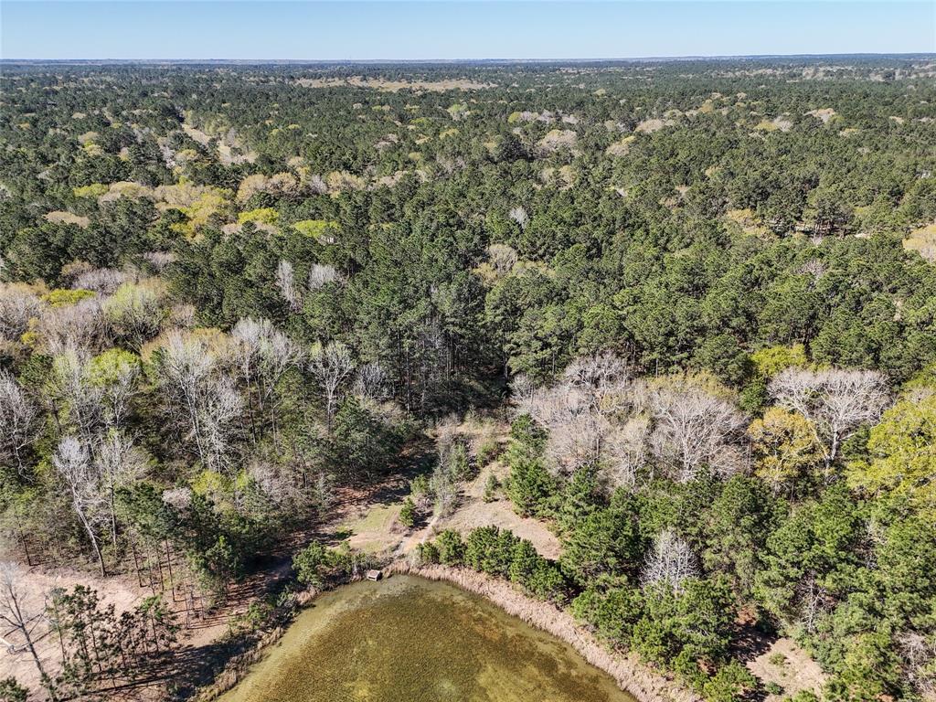 29920 Bareback Lane, Waller, Texas image 4