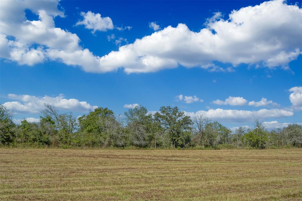 Lot 8 County Rd 229, Bedias, Texas image 3