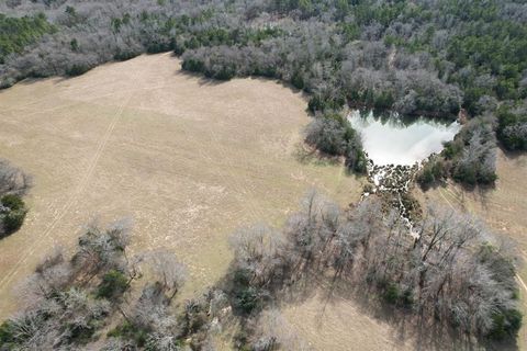 TBD County Road 435 Frankston TX 75763