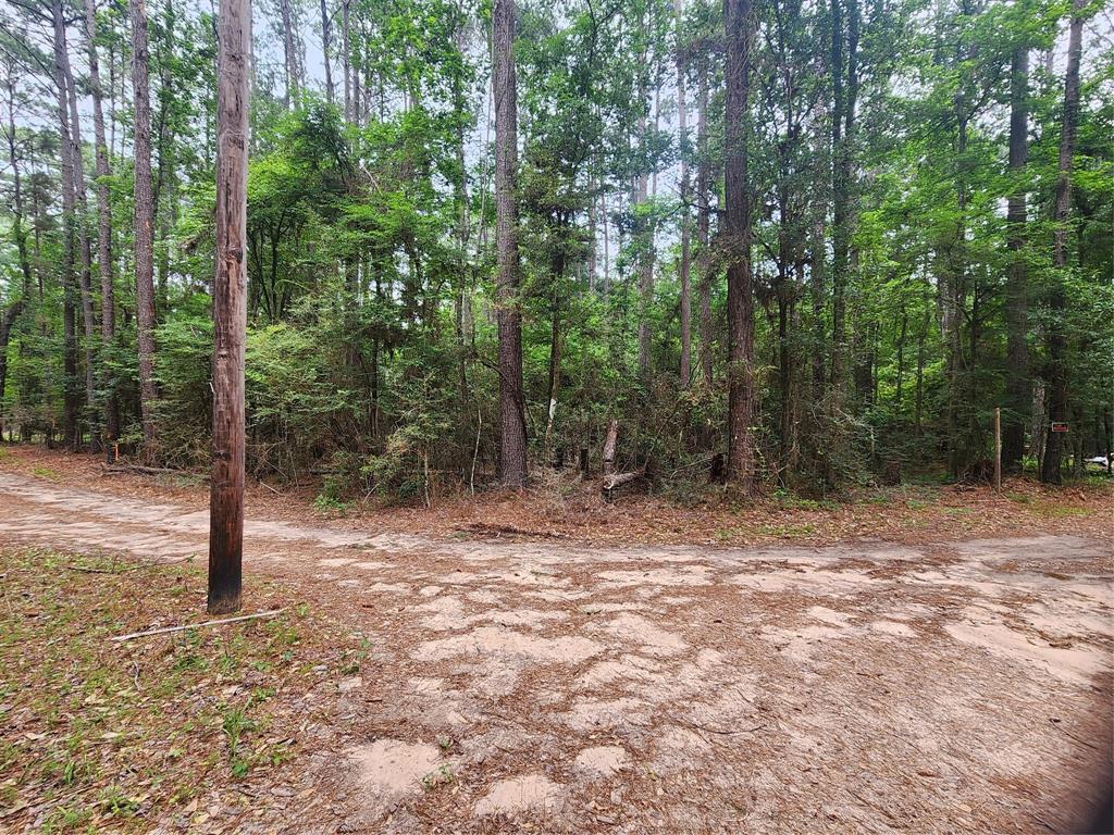277 Long King, Livingston, Texas image 2