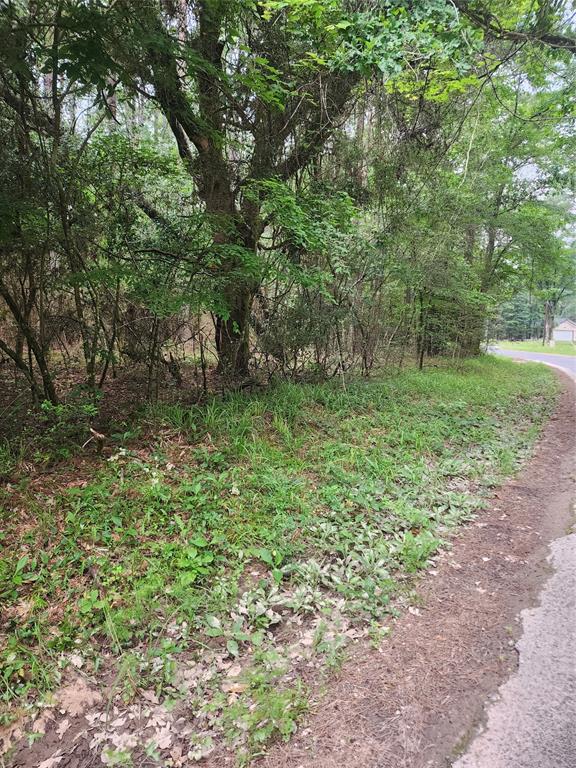 277 Long King, Livingston, Texas image 3