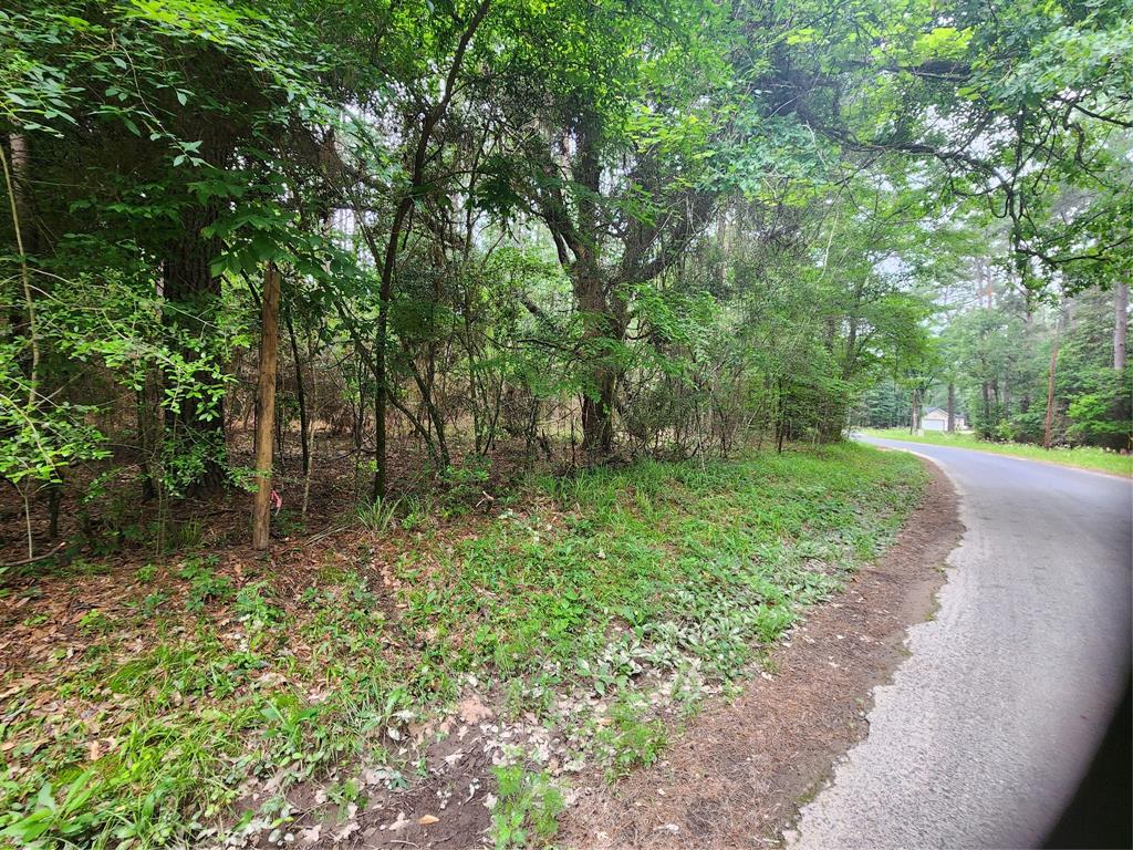 277 Long King, Livingston, Texas image 4