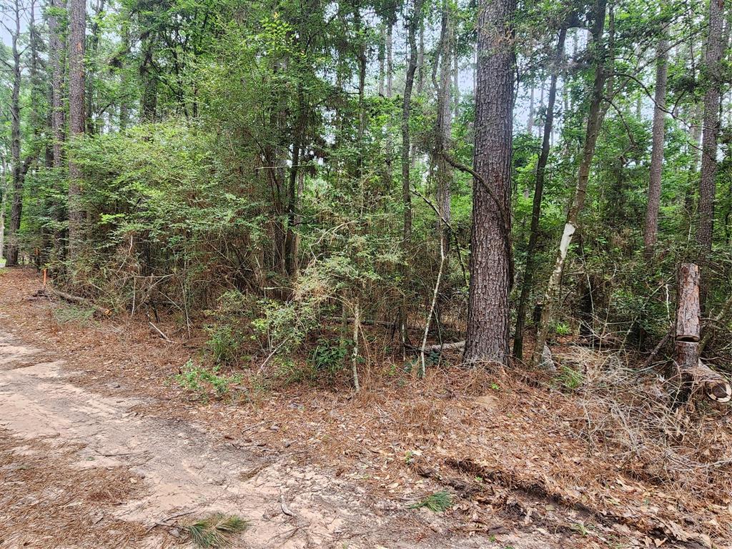 277 Long King, Livingston, Texas image 1