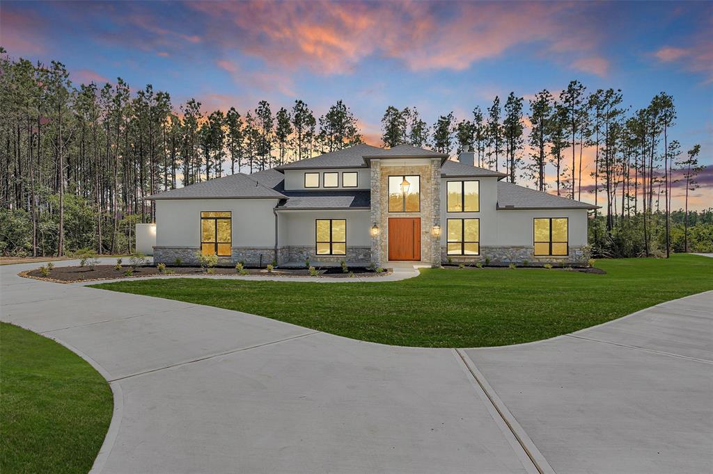 16081 Forest Mill Road, Willis, Texas image 1