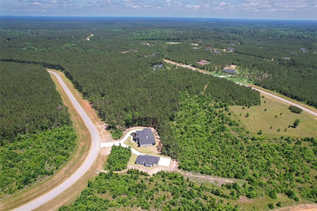 16081 Forest Mill Road, Willis, Texas image 38