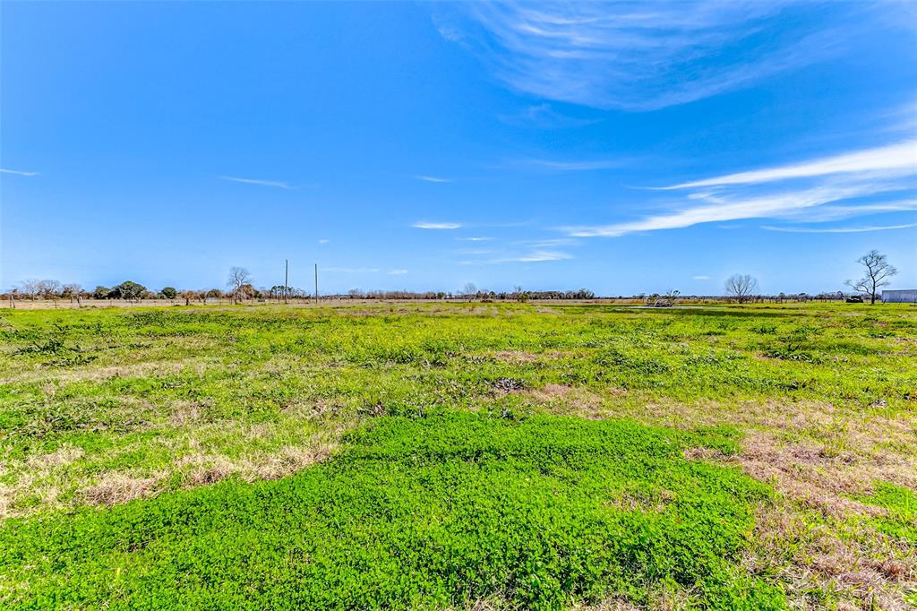 5103 County Road 182, Alvin, Texas image 22