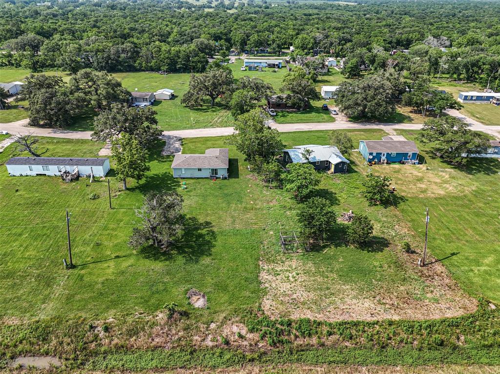 152 Country Oaks Street, Brazoria, Texas image 19
