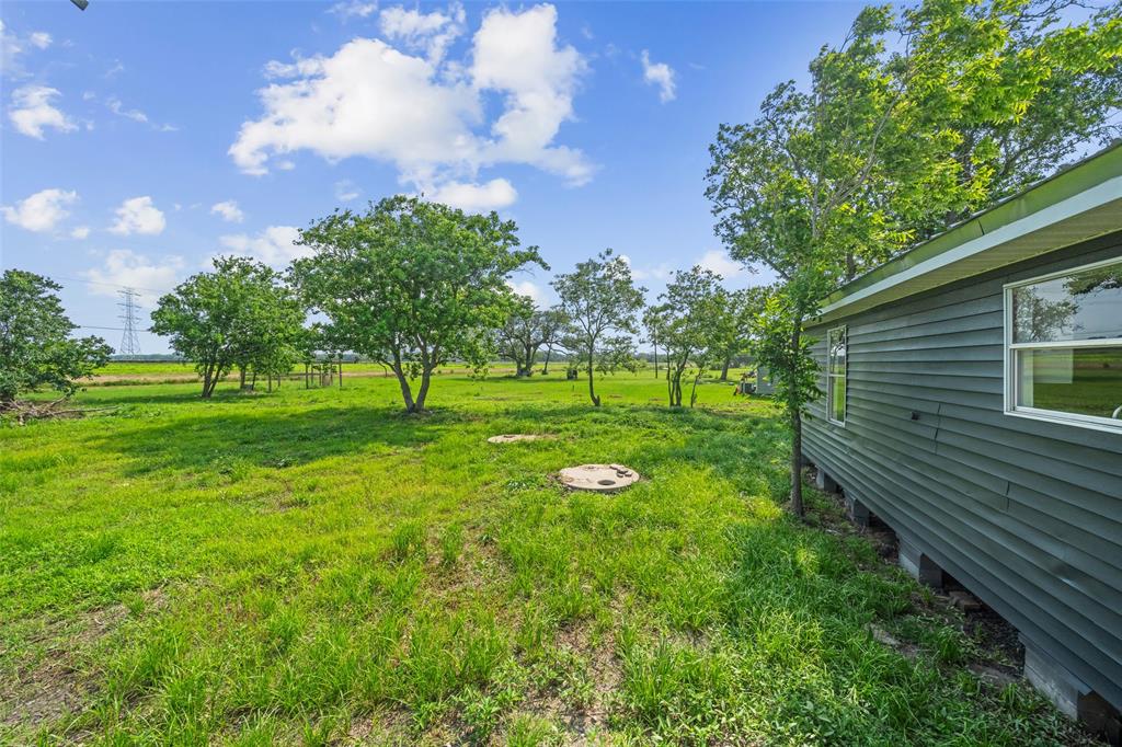 152 Country Oaks Street, Brazoria, Texas image 16